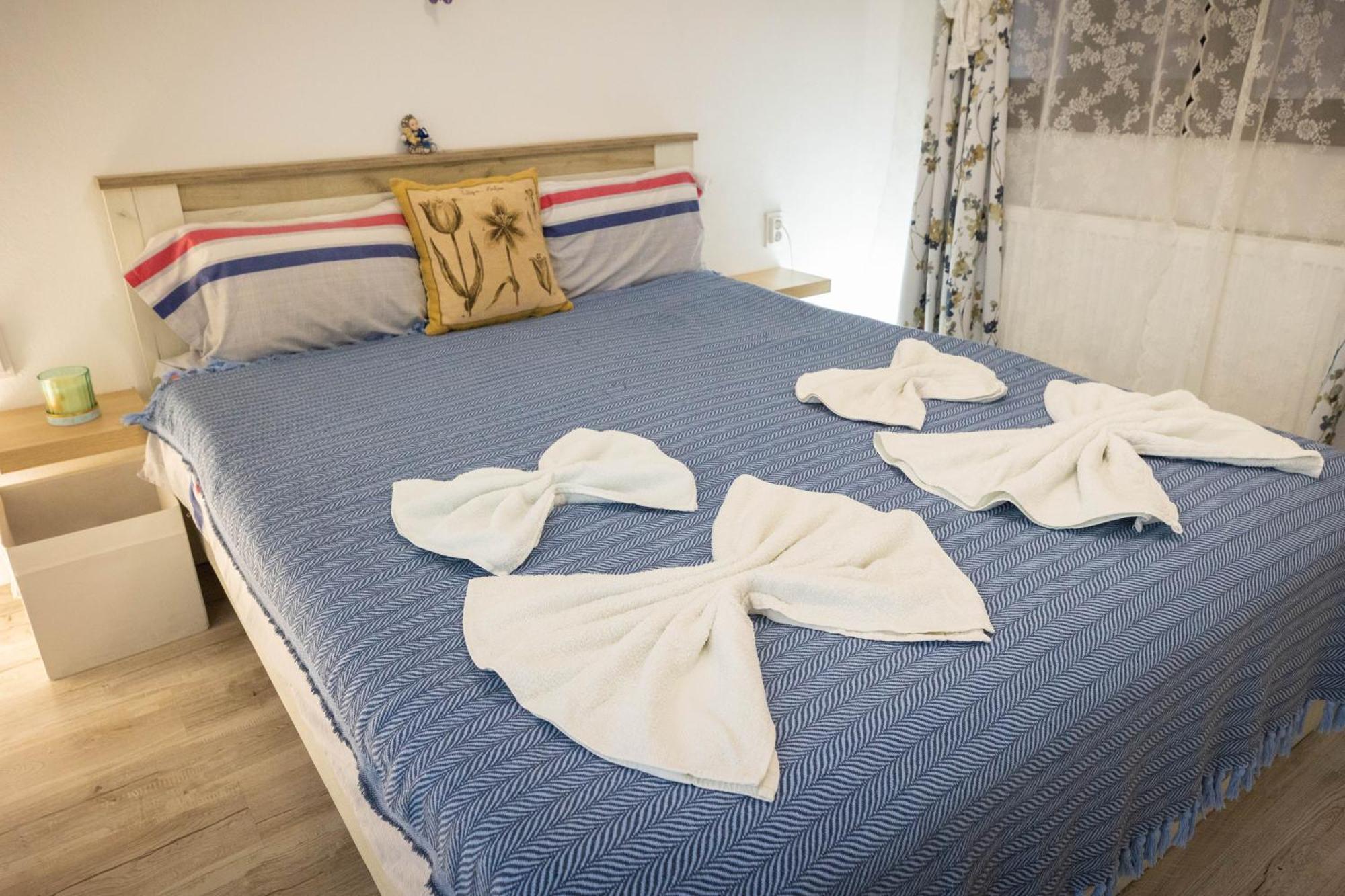 Guest house Happy Calimanesti